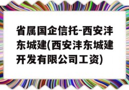 省属国企信托-西安沣东城建(西安沣东城建开发有限公司工资)