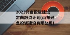 2023兴鱼投资建设定向融资计划(山东兴鱼投资建设有限公司)