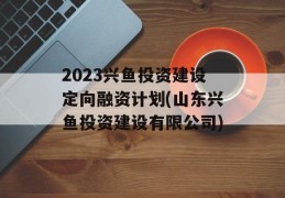 2023兴鱼投资建设定向融资计划(山东兴鱼投资建设有限公司)