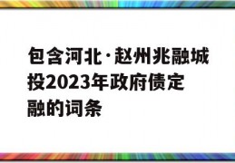 包含河北·赵州兆融城投2023年政府债定融的词条