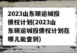 2023山东硕运城投债权计划(2023山东硕运城投债权计划在哪儿能查到)