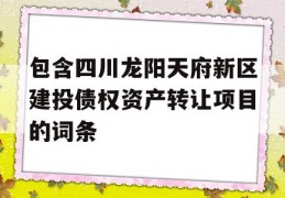 包含四川龙阳天府新区建投债权资产转让项目的词条