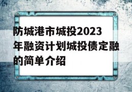 防城港市城投2023年融资计划城投债定融的简单介绍