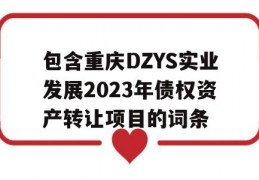 包含重庆DZYS实业发展2023年债权资产转让项目的词条