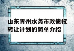 山东青州水务市政债权转让计划的简单介绍