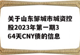 关于山东邹城市城资控股2023年第一期364天CNY债的信息