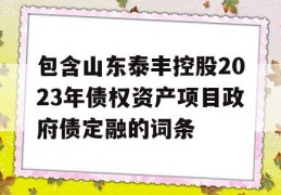 包含山东泰丰控股2023年债权资产项目政府债定融的词条