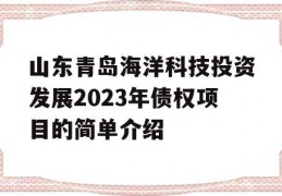 山东青岛海洋科技投资发展2023年债权项目的简单介绍