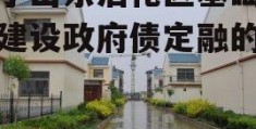 关于山东沾化区基础设施建设政府债定融的信息