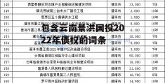 包含云南景洪国投2022年债权的词条