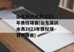 山东晟润水务2023年债权项目(山东晟润水务2023年债权项目有哪些)