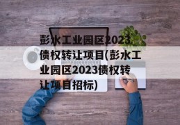 彭水工业园区2023债权转让项目(彭水工业园区2023债权转让项目招标)