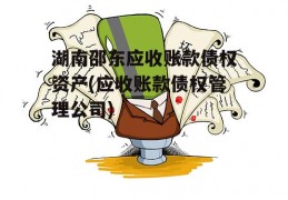 湖南邵东应收账款债权资产(应收账款债权管理公司)