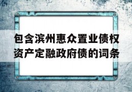 包含滨州惠众置业债权资产定融政府债的词条