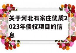 关于河北石家庄优质2023年债权项目的信息