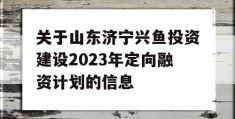 关于山东济宁兴鱼投资建设2023年定向融资计划的信息