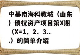 中基南海科教城（山东）债权资产项目第X期（X=1、2、3...）的简单介绍