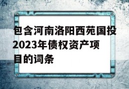 包含河南洛阳西苑国投2023年债权资产项目的词条