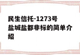 民生信托-1273号盐城盐都非标的简单介绍