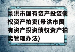 景洪市国有资产投资债权资产拍卖(景洪市国有资产投资债权资产拍卖管理办法)