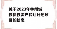 关于2023年林州城投债权资产转让计划项目的信息