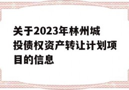 关于2023年林州城投债权资产转让计划项目的信息