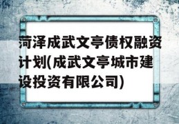 菏泽成武文亭债权融资计划(成武文亭城市建设投资有限公司)