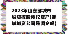 2023年山东邹城市城资控股债权资产(邹城城资公司是国企吗)