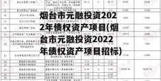 烟台市元融投资2022年债权资产项目(烟台市元融投资2022年债权资产项目招标)