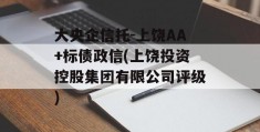 大央企信托-上饶AA+标债政信(上饶投资控股集团有限公司评级)