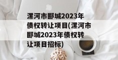 漯河市郾城2023年债权转让项目(漯河市郾城2023年债权转让项目招标)