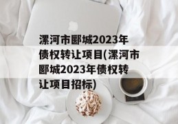 漯河市郾城2023年债权转让项目(漯河市郾城2023年债权转让项目招标)