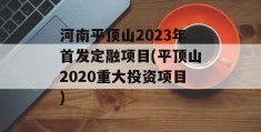 河南平顶山2023年首发定融项目(平顶山2020重大投资项目)