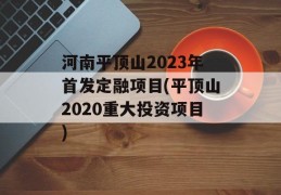 河南平顶山2023年首发定融项目(平顶山2020重大投资项目)