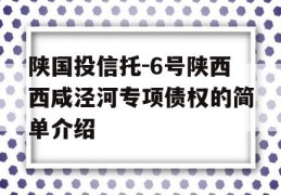 陕国投信托-6号陕西西咸泾河专项债权的简单介绍