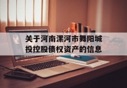 关于河南漯河市舞阳城投控股债权资产的信息