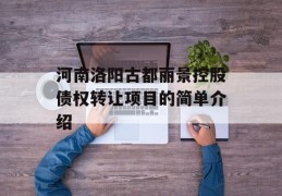 河南洛阳古都丽景控股债权转让项目的简单介绍