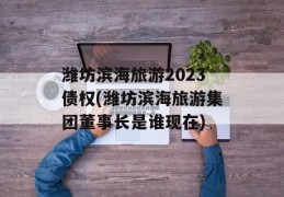 潍坊滨海旅游2023债权(潍坊滨海旅游集团董事长是谁现在)