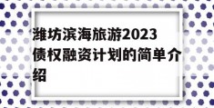 潍坊滨海旅游2023债权融资计划的简单介绍