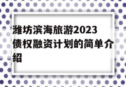 潍坊滨海旅游2023债权融资计划的简单介绍