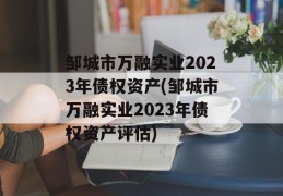 邹城市万融实业2023年债权资产(邹城市万融实业2023年债权资产评估)