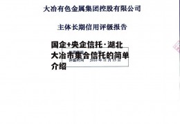 国企+央企信托·湖北大冶市集合信托的简单介绍