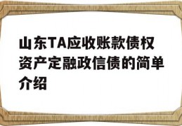 山东TA应收账款债权资产定融政信债的简单介绍