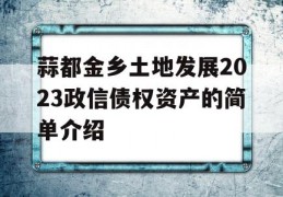 蒜都金乡土地发展2023政信债权资产的简单介绍