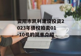 资阳市凯利建设投资2023年债权拍卖01-10号的简单介绍