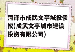 菏泽市成武文亭城投债权(成武文亭城市建设投资有限公司)