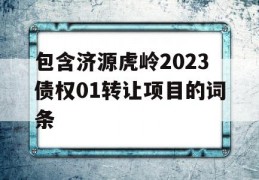 包含济源虎岭2023债权01转让项目的词条