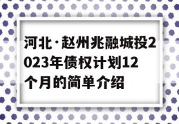 河北·赵州兆融城投2023年债权计划12个月的简单介绍