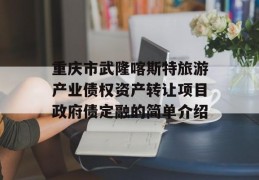 重庆市武隆喀斯特旅游产业债权资产转让项目政府债定融的简单介绍