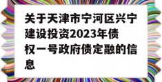 关于天津市宁河区兴宁建设投资2023年债权一号政府债定融的信息